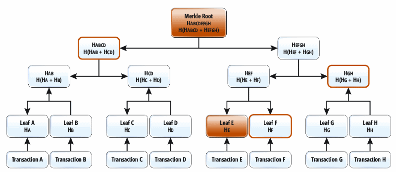 Ein Hashbaum ist ein Typ eines binären Hashbaums, der einen Hashbaum-Stammhashwert generiert; diese Datenstruktur kann effizient Blattknoten hinzufügen und einen neuen Hashbaumstamm berechnen, ohne dass eine vollständige Neuberechnung erforderlich ist