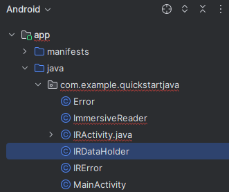 Screenshot der JAVA-Klassendatei „IRDataHolder“.