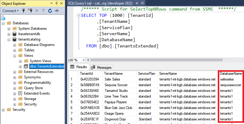 Sicht „ExtendedTenants“ in SSMS