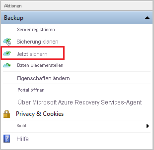 Screenshot: Starten der Sicherung von Windows Server.