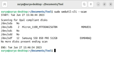 Bildschirmaufnahme mit den erfolgreichen Ergebnissen beim Scannen eines Systems für Data Box Disks.