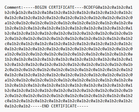 Screenshot des Kommentars zum Zertifikatsbeispiel.