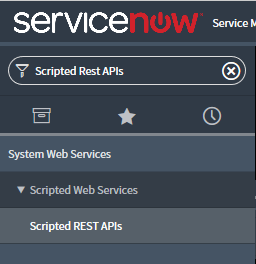 Abschnitt „Scripted Web Service“ in ServiceNow