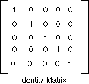 Screenshot: 5×5-Identitätsmatrix für die Farbtransformation