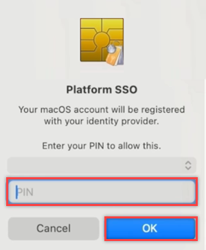 Screenshot der Aufforderung bei der Plattform-SSO-Registrierung, die Smartcard-PIN einzugeben