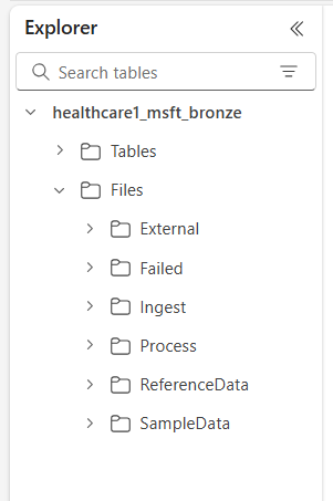 Screenshot der OneLake-Ordner für Datenlösungen für das Gesundheitswesen