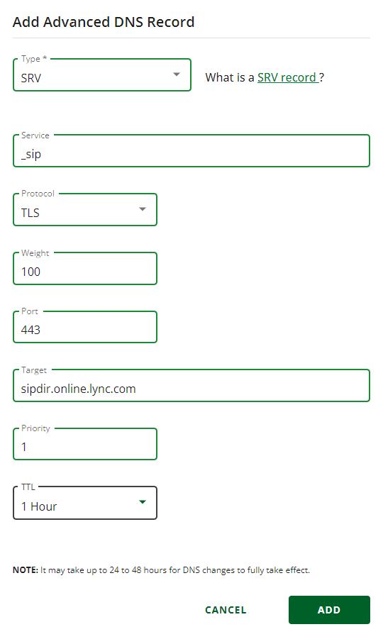 Geben Sie die Werte aus der Tabelle ein, oder kopieren Sie sie, und fügen Sie sie in das SRV-Datensatzfenster ein.