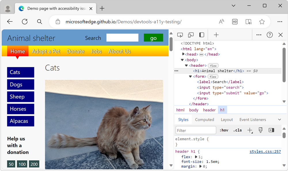 Die Demoseite mit DevTools daneben