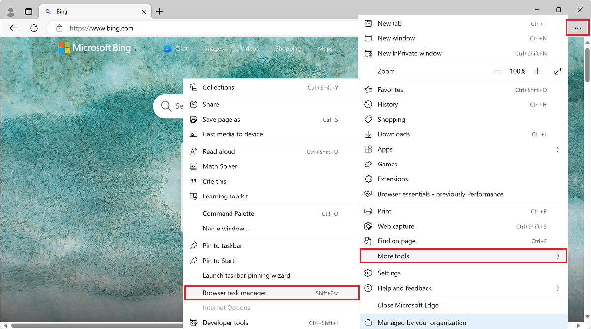 Öffnen des Task-Managers des Microsoft Edge-Browsers