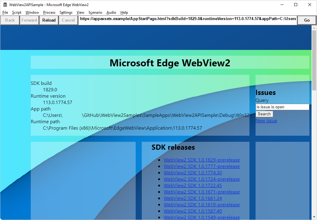 WebView2APIApp-Fenster mit WebView2 SDK-Version und WebView2-Runtimeversion und Pfad