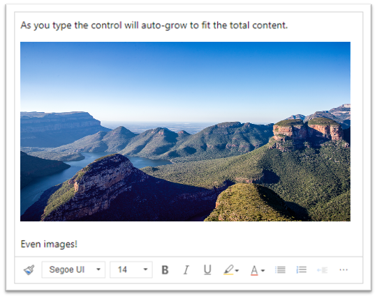 Screenshot, der veranschaulicht, dass das Eintippen in den Rich-Text-Bereich oder das Einfügen eines Bilds diesen vergrößert, um ihn an den Inhalt anzupassen.
