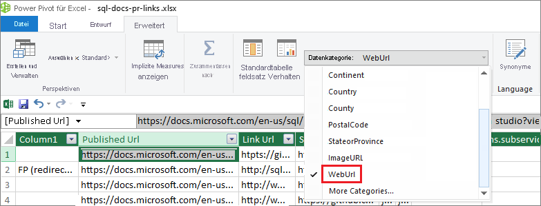 Dropdownliste „Datenkategorie“ in Excel