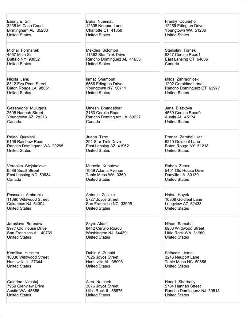 Screenshot of sample Power BI paginated report labels.