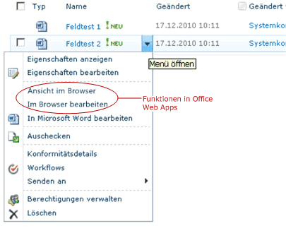 Funktionen in Office Web Apps