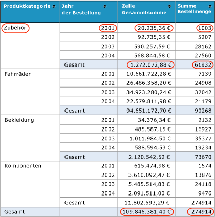 Verkaufszusammenfassungsbericht für ein Produkt mit eingekreisten Werten