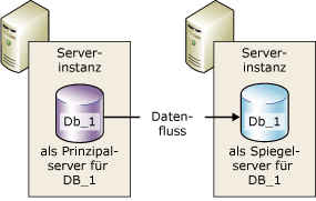 Partner in einer Datenbank-Spiegelungssitzung