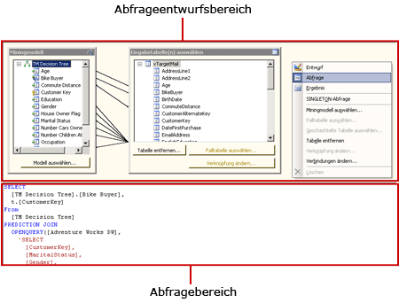 DMX-Abfrage-Designer für Analysis Services, Abfrageansicht