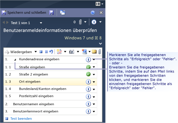 Freigegebene Schritte im Testprogramm ausführen