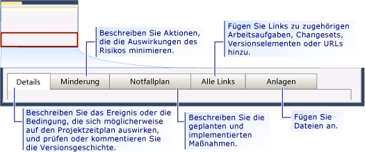 Arbeitsaufgabenformular für CMMI-Risiko - Registerkarten