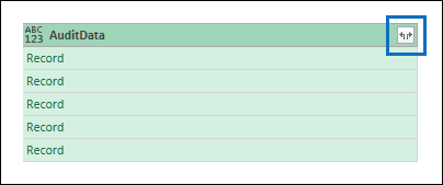 Klicken Sie in der Spalte AuditData auf das Symbol zum Erweitern.