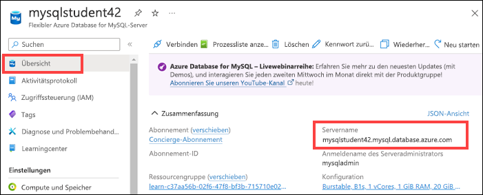 Screenshot: im linken Menü hervorgehobenes Menüelement „Übersicht“ und im Abschnitt „Grundlegende Features“ hervorgehobener Servername