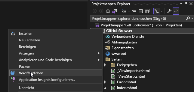 Screenshot: Veröffentlichungsoption in Visual Studio