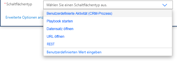 Im Dropdownmenü „Wählen Sie einen Schaltflächentyp aus“ ist die Option benutzerdefinierte Aktion (CRM-Prozess) ausgewählt.