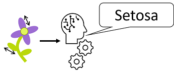 Diagramm: Klassifizierung basierend auf Abmessungen als Features und Arten als Klassen