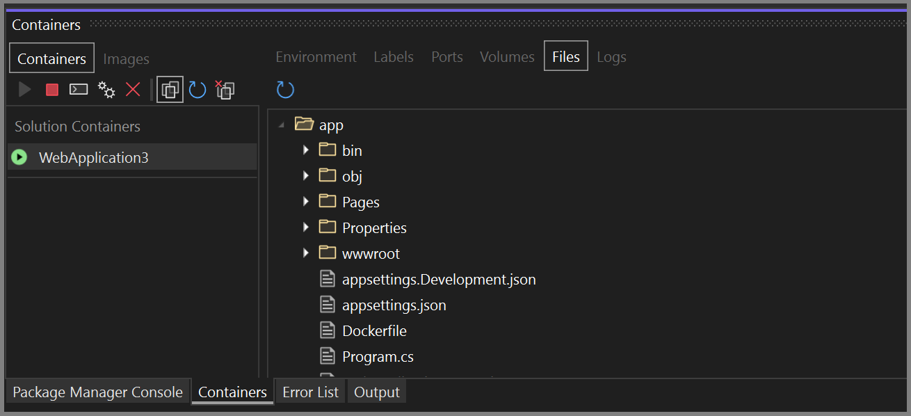 Screenshot: Registerkarte „Dateien“ im Fenster „Container“