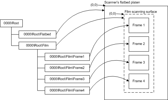 Diagramm zur Veranschaulichung des Elementbaums eines Flachbett-Filmscanners mit Nur-Platten-Scan.