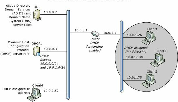 Topologie des Windows Server-Hauptnetzwerks