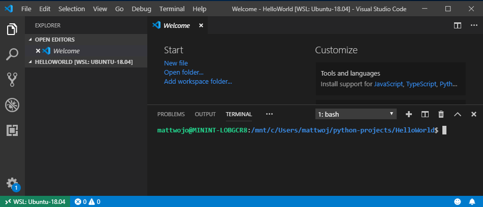 VS Code mit WSL-Terminal