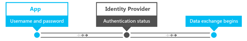 Single-Factor Authentication