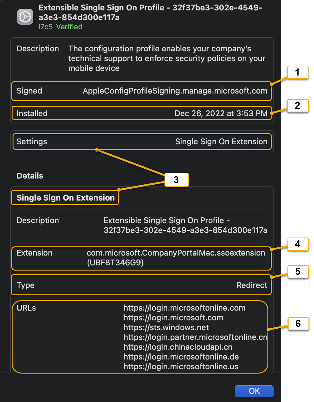 Screenshot showing SSO extension configuration profile.