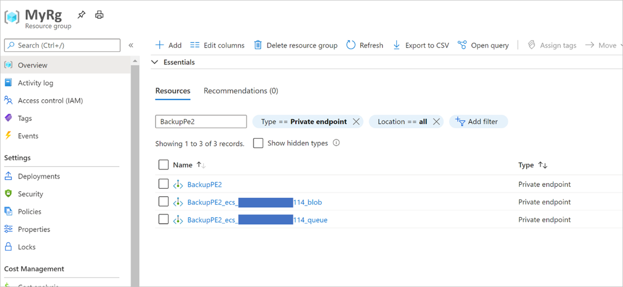 Private endpoint resources