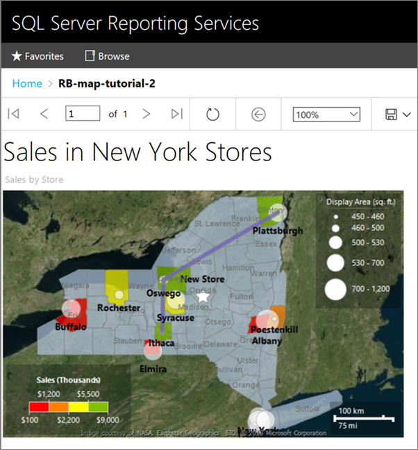 Screenshot that shows the completed Report Builder map displayed in the portal.