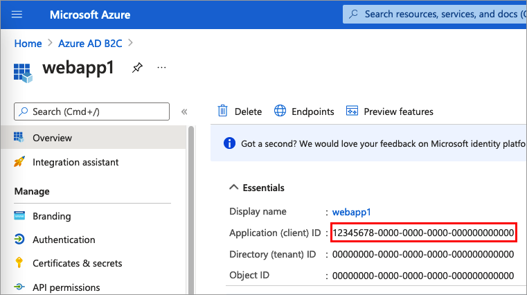 Screenshot of the web app Overview page for recording your web application ID.