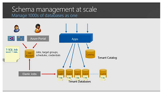 Schema management at scale