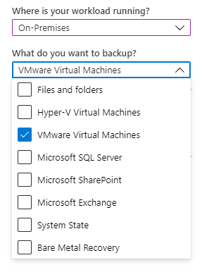 Screenshot showing the options for where your workload runs and what to back up.