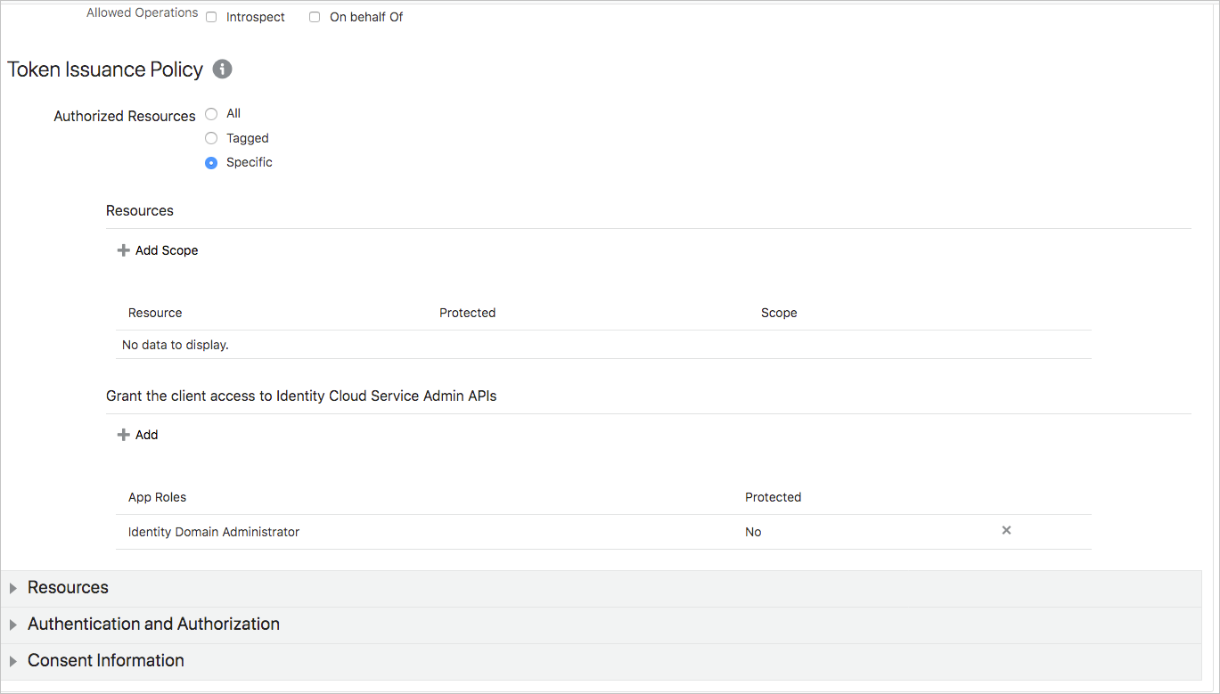 Screenshot shows the Oracle Token Issuance Policy.