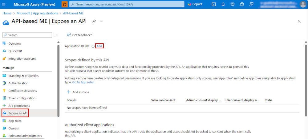 Screenshot shows you how to set app ID URI.