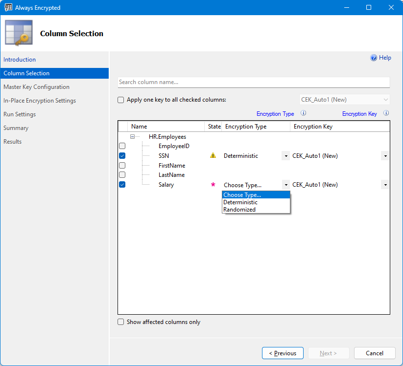 Screenshot of the Always Encrypted Wizard column selection.