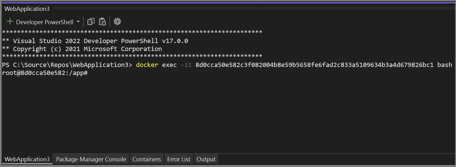 Screenshot of Bash window.