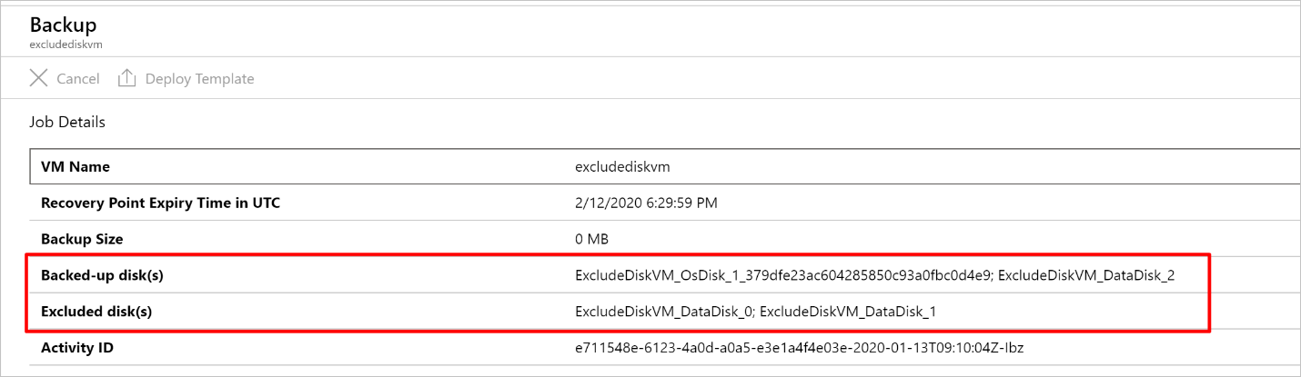 View included and excluded disks from job details pane