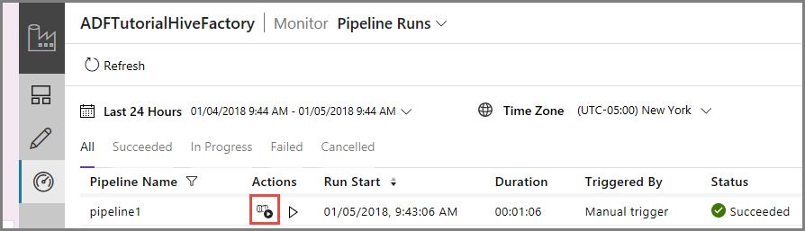 View activity runs