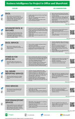 BI for Project in Office and SharePoint.