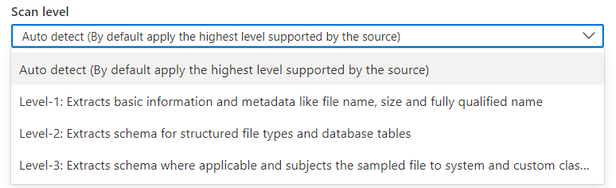 Screenshot that shows the drop-down list for selecting scan levels.