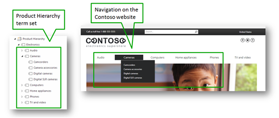 Contoso Product Hierarchy