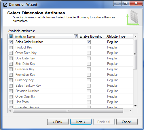 Sales order dimension showing attribute list