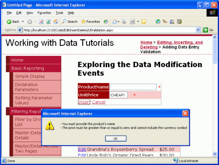 Validation Logic has been Added to the DetailsView's Inserting Interface